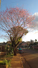 Negocio San Pedro Misiones